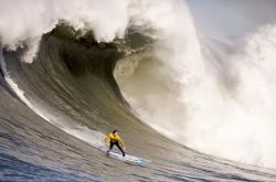 爱游戏娱乐-骑士踏平马刺，小贾伦总决赛接管比赛，新王当立，时代更迭