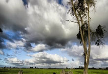 爱游戏官方-里昂主场战平波尔多，法甲竞争激烈