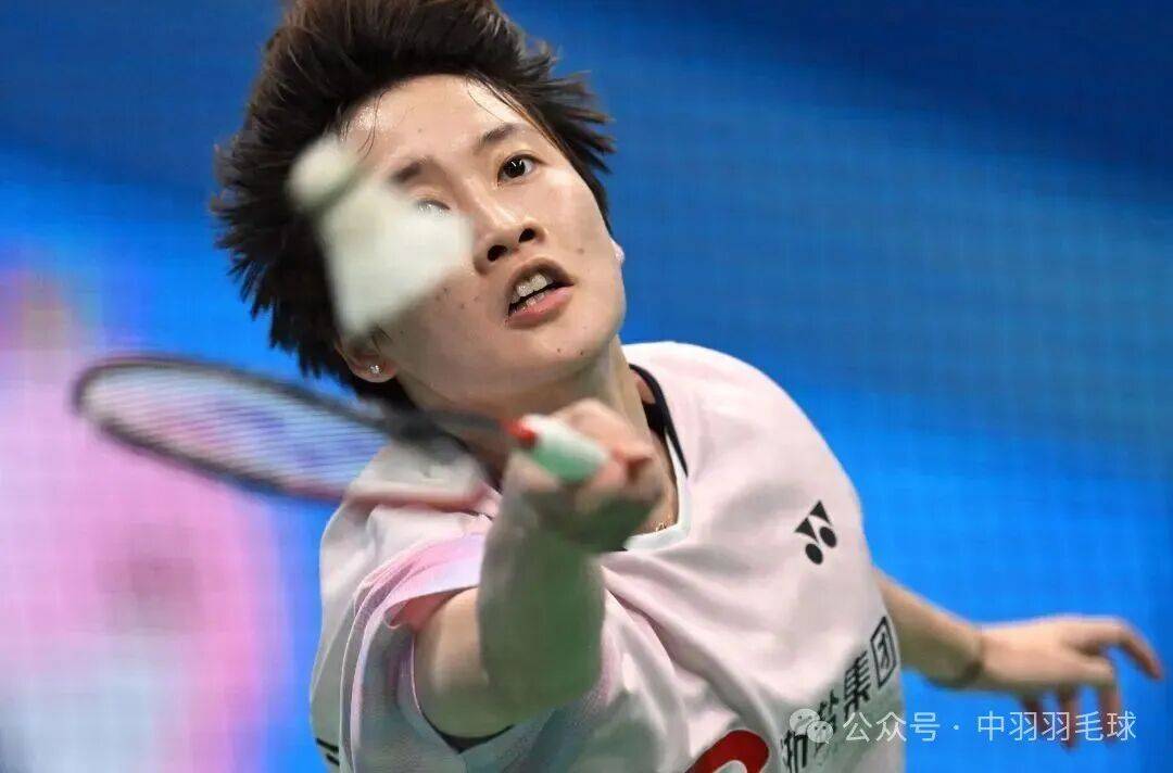 日本队绝杀法国队，陈雨菲关键制胜的简单介绍