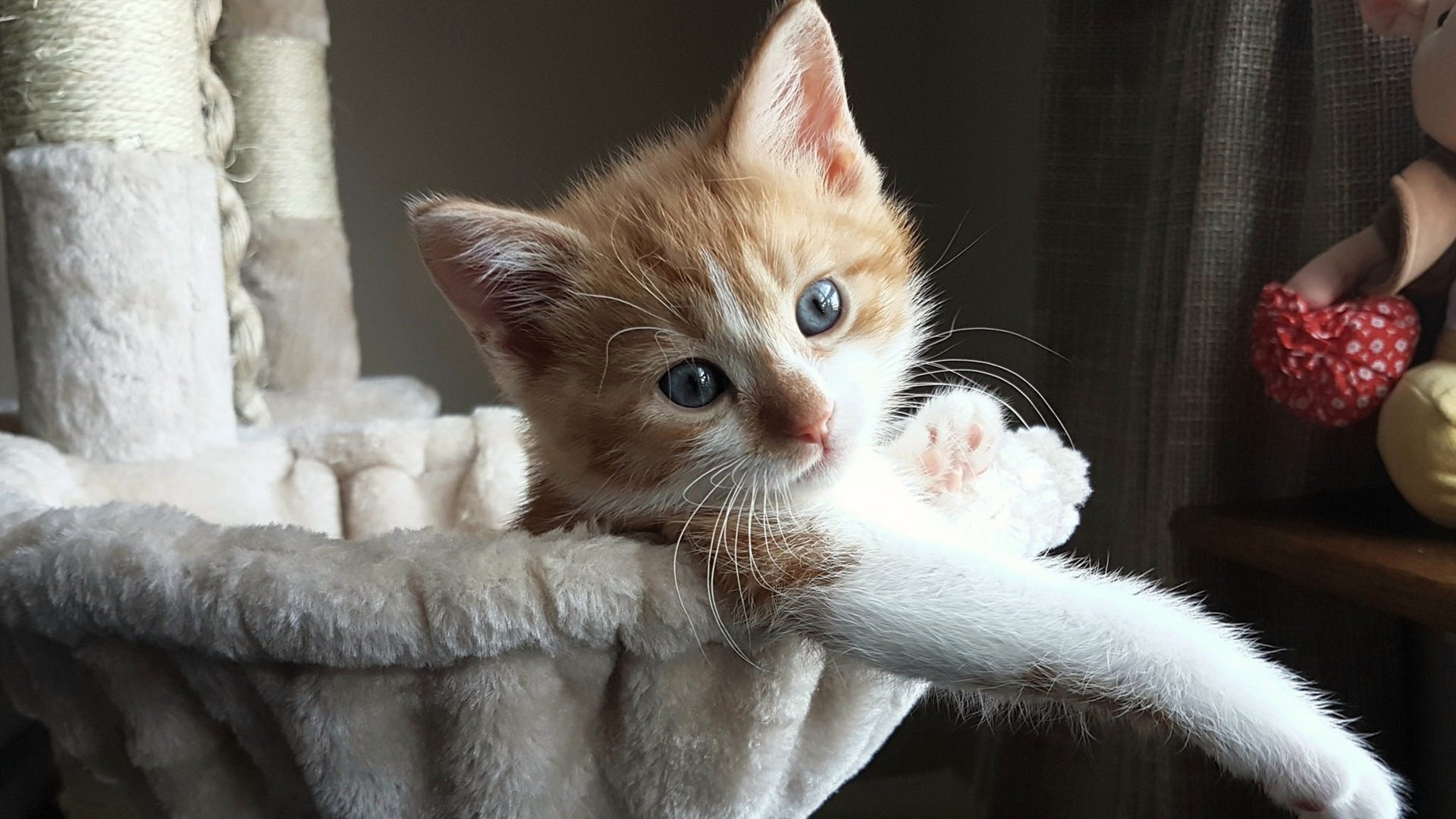 莫兰特如鹰击长空,魔术难逃节奏掌控—一场关于唯一性的篮球哲学