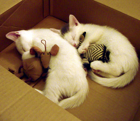 亚特兰大稳稳拿下马赛,久保建英扛起全队,一场战术与意志的胜利