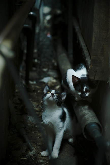 铁血与优雅的对决,英格兰强压毕尔巴鄂,莫德里奇关键节点连续得分改写战局